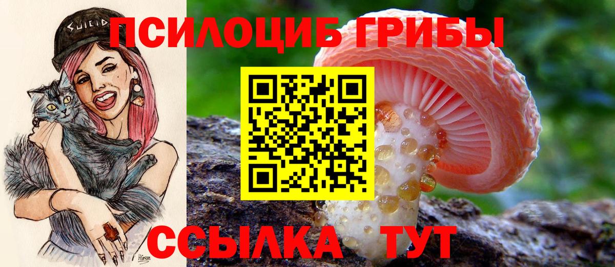 Галлюциногенные грибы Psilocybe  Вход с VPN  Галлюциногенные грибы ЛСД  Конаково 