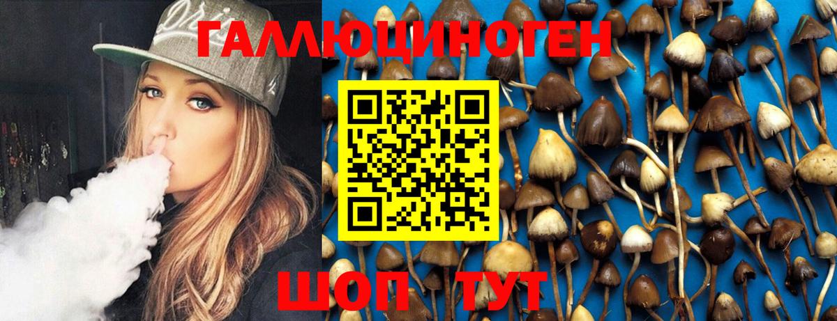 Галлюциногенные грибы Cubensis Конаково